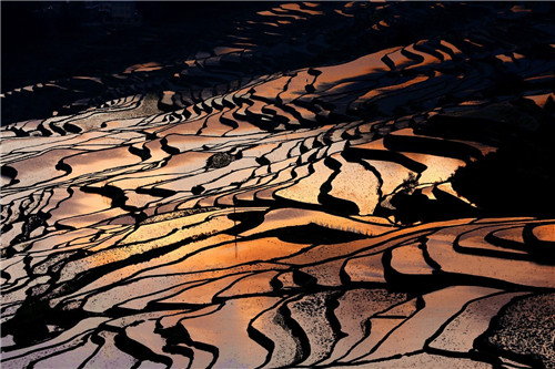 理想科技：贫穷，是人类最大的灾难