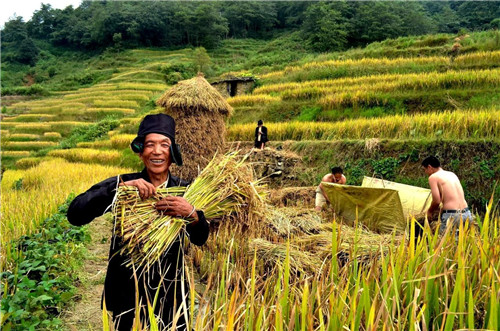 理想科技：贫穷，是人类最大的灾难