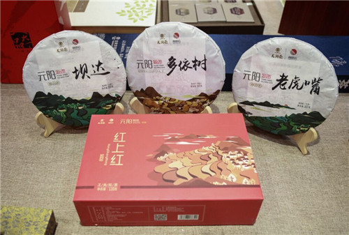 理想科技：贫穷，是人类最大的灾难