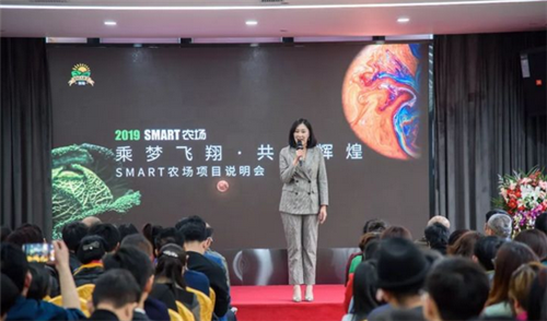 骆超操盘SMART农场:疯狂过后,还会不会剩下一地鸡毛?