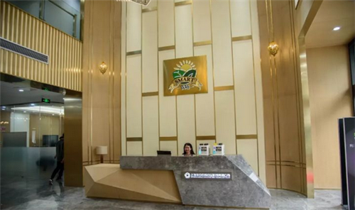 骆超操盘SMART农场:疯狂过后,还会不会剩下一地鸡毛?