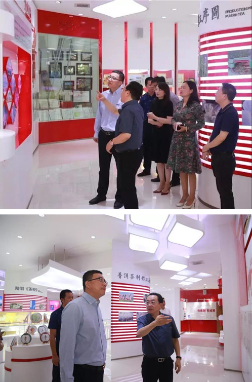 嵩明县县委副书记、代理县长李进波一行莅临理想考察指导