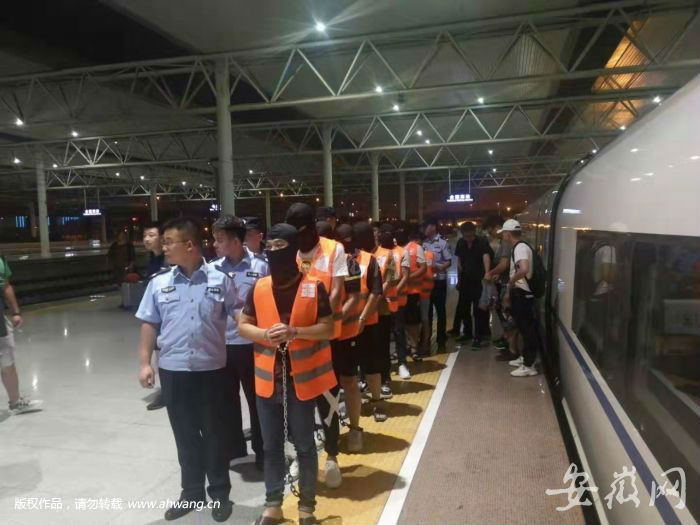 先婚恋交友再诱惑投资 一网络诈骗团伙被合肥警方摧毁