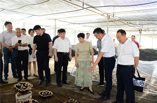 黔西南州人民政府州长杨永英一行考察安惠