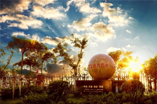 厚积薄发 美罗国际集团遨游大健康领域蓝海