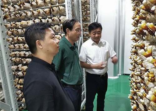 中国菌物学会理事长郭良栋参观安惠园