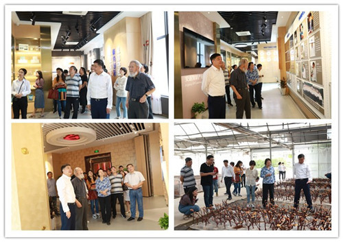 张树庭教授平泉蘑菇博物馆名誉馆长授予仪式在安惠举行