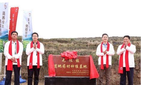 岷县当归溯源之旅，无限极再造健康食品安全新生态