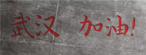 抗击疫情 |中脉公益向湖北武汉捐赠100万元