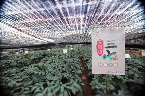 中国消费者报|无限极以实干推动健康中国，助力美好生活