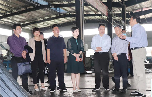 绿之韵集团董事长胡国安随湖南省政协调研组安乡调研