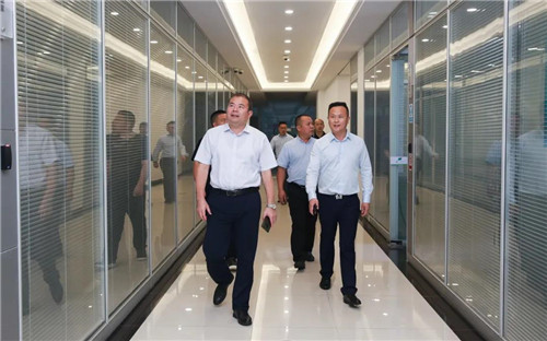 浙江省龙泉市副市长杨洪斌莅临绿叶洽谈战略合作